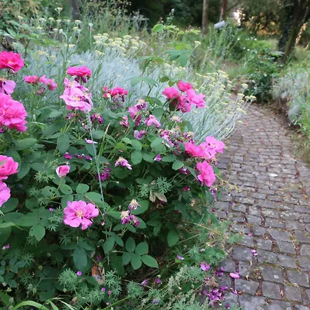 Auszeit In Am Rhein Daire Erpel
