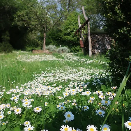 Auszeit In Am Rhein Daire *