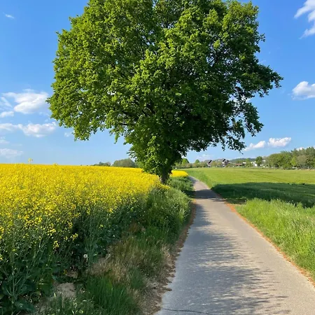 Daire Auszeit In Am Rhein